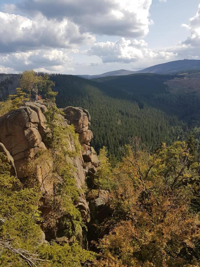 Reese- Horstmann Mit Hallenbad Und Sauna, Wlan Harz Zu Jeder Jahreszeit