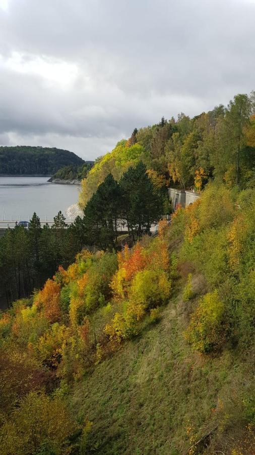 Reese- Horstmann Mit Hallenbad Und Sauna, Wlan Harz Zu Jeder Jahreszeit Apartment Bad Harzburg