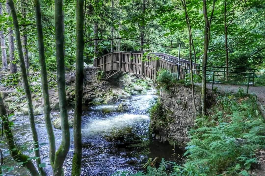 Reese- Horstmann Mit Hallenbad Und Sauna, Wlan Harz Zu Jeder Jahreszeit Bad Harzburg