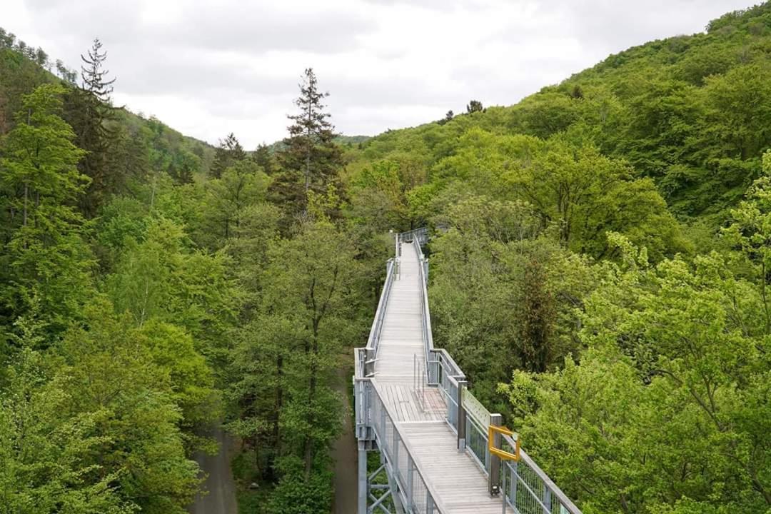 Reese- Horstmann Mit Hallenbad Und Sauna, Wlan Harz Zu Jeder Jahreszeit *