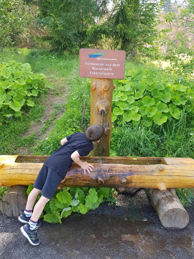 Reese- Horstmann Mit Hallenbad Und Sauna, Wlan 