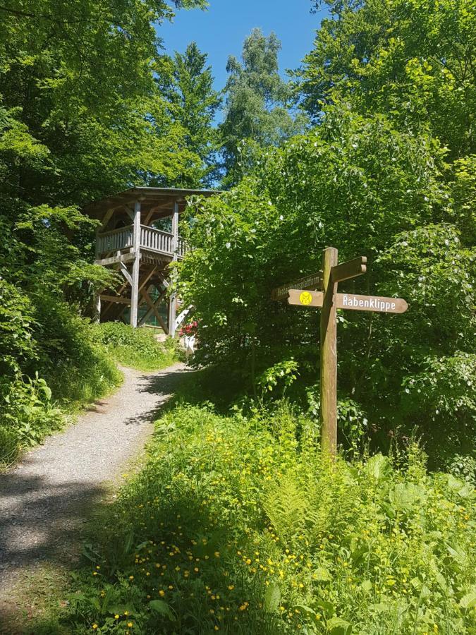 Appartement Reese- Horstmann Mit Hallenbad Und Sauna, Wlan 