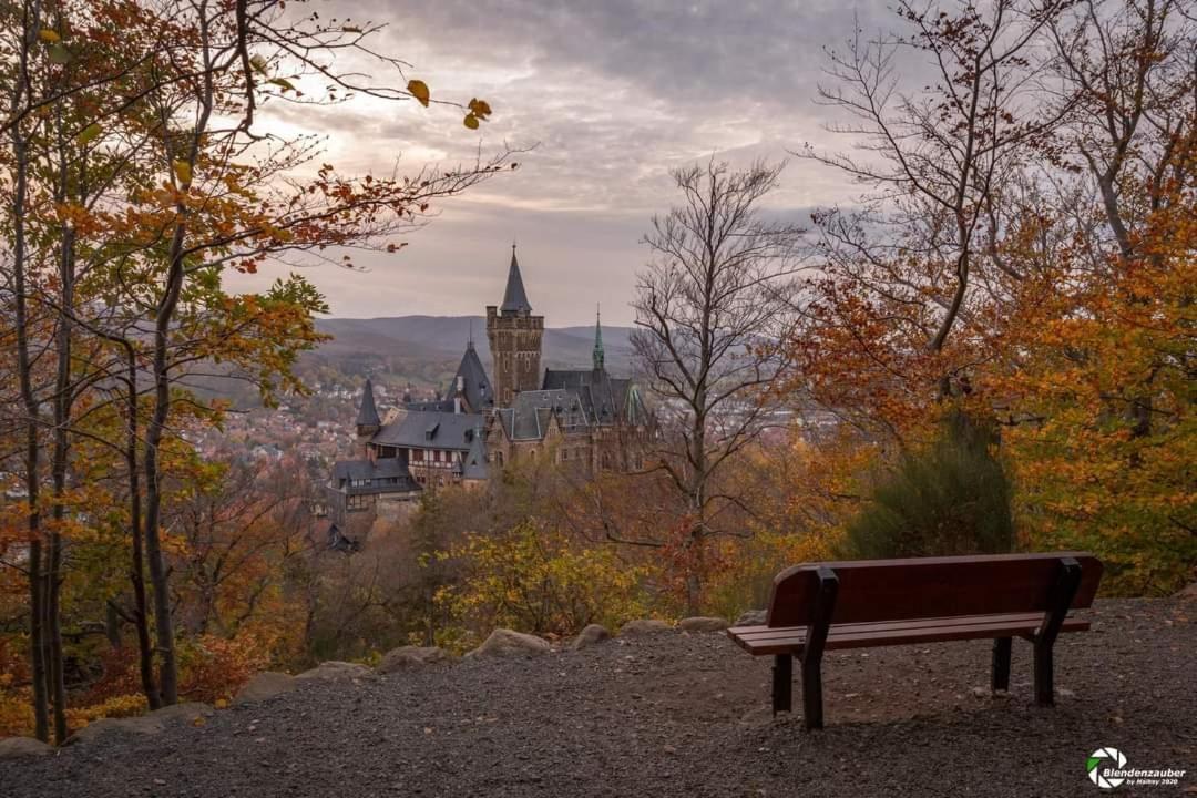Reese- Horstmann Mit Hallenbad Und Sauna, Wlan Harz Zu Jeder Jahreszeit Apartment Bad Harzburg