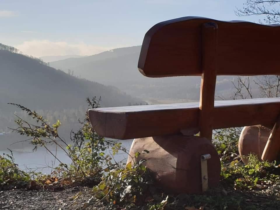 Apartment Reese- Horstmann Mit Hallenbad Und Sauna, Wlan Harz Zu Jeder Jahreszeit Bad Harzburg
