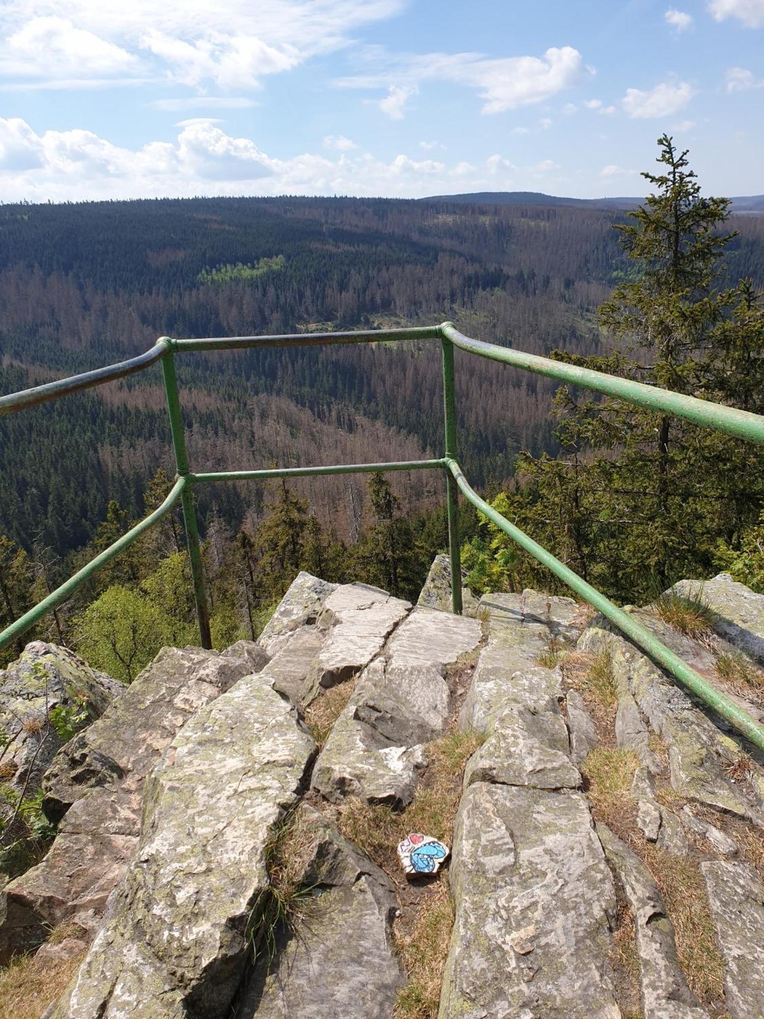 Apartment Reese- Horstmann Mit Hallenbad Und Sauna, Wlan Harz Zu Jeder Jahreszeit Bad Harzburg