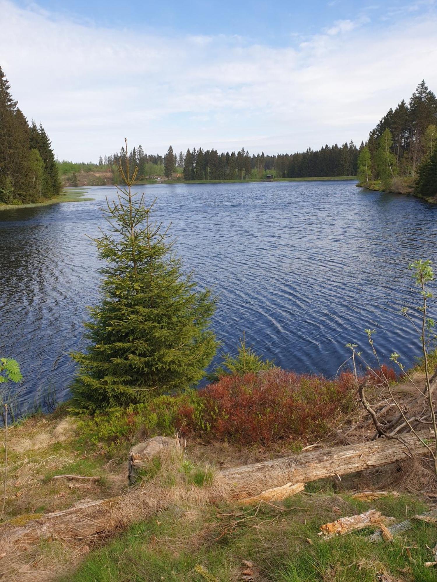 Reese- Horstmann Mit Hallenbad Und Sauna, Wlan Harz Zu Jeder Jahreszeit